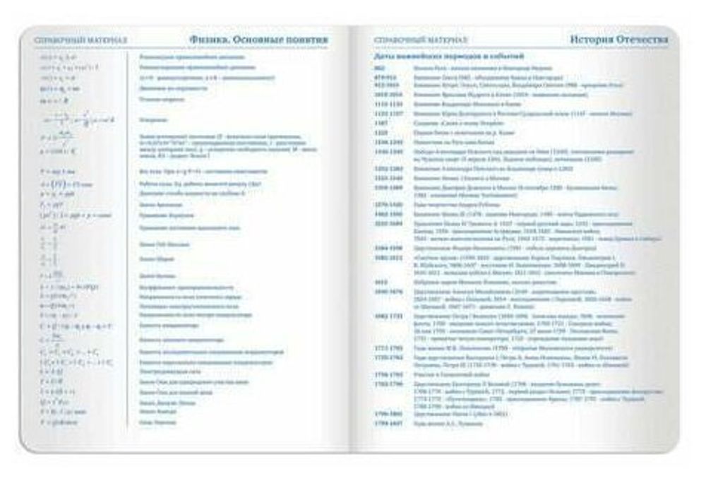 Дневник 1-11 класс 48 л., обложка кожзам (твердая), тиснение, аппликация, BRAUBERG, "ВКУСНЯШКИ", 105487