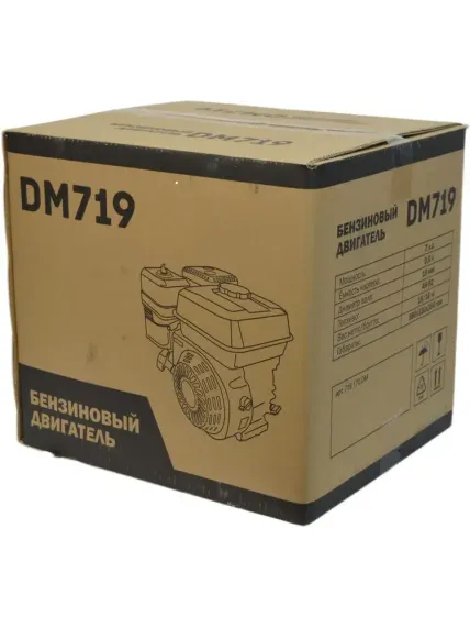 Двигатель DAMAN DM719 (7 л.с.. 19 мм)