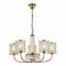 Подвесная люстра Evoluce Ellisse SLE1119-303-05