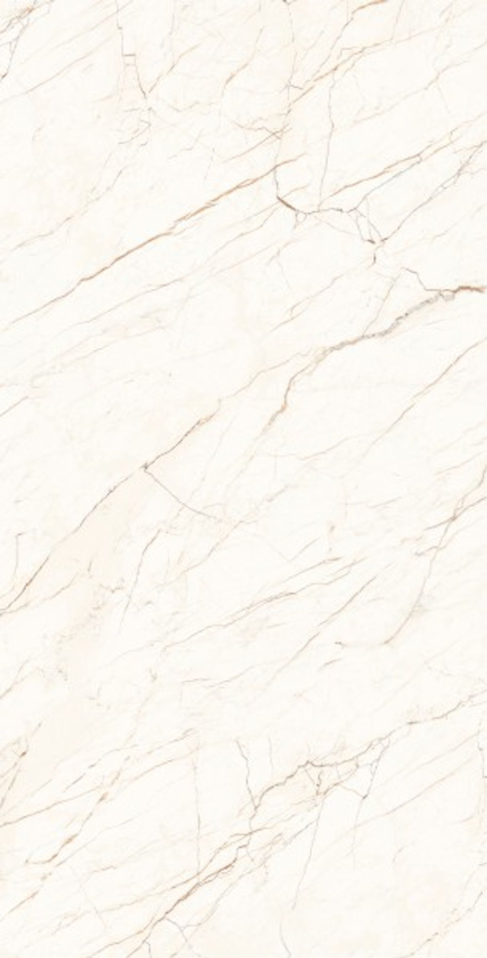 CEASAR LAPPATO CL4001-A