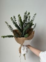 Эвкалипт в оформлении размер M