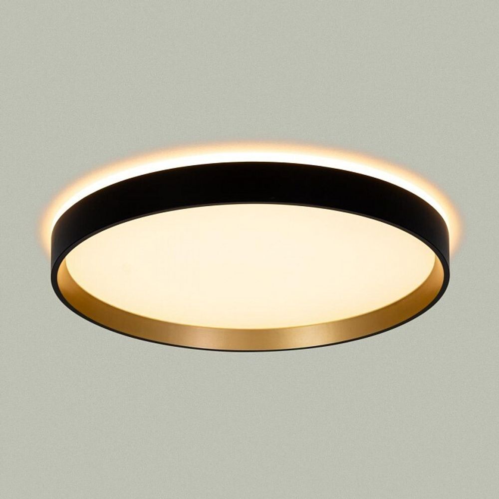 Накладной светильник Citilux ETALON CL750321R