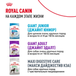 Royal Canin Giant Puppy Корм сухой для щенков очень крупных размеров 15 кг
