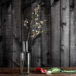 Цветок TULIPAN в розовом цвете