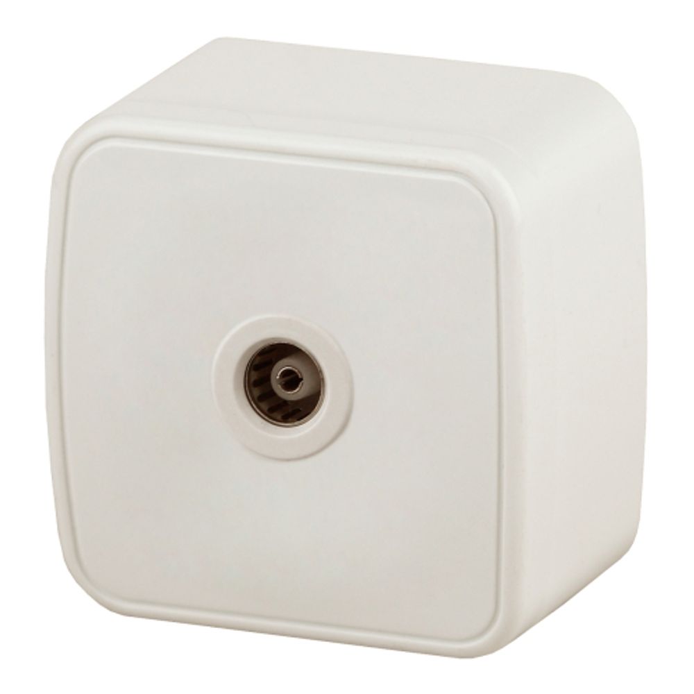 Розетка Intro Polo 3-301-02 TV одиночная, IP20, ОУ, слоновая кость | Intro