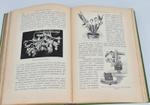 "Комнатное садоводство. Уход за комнатными растениями, их выбор и размножение. Приспособление комнат для культуры в них растений. Практическое руководство для любителей и садоводов". Макс Гесдёрфер. 1904г. - антикварное издание