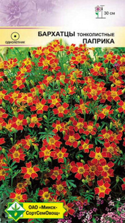 Бархатцы "Паприка" 0.2г., Германия.