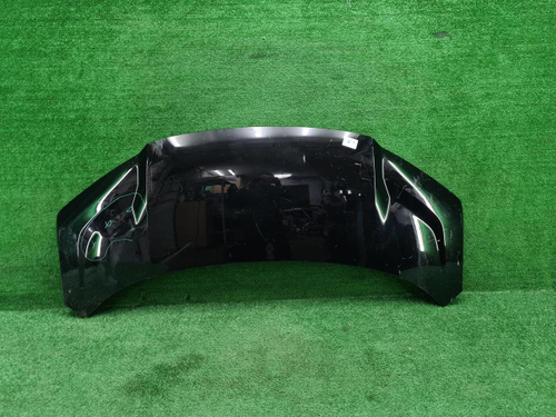 Капот Zeekr 009 (2022-н.в.)