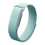 Фитнес-браслет Google Fitbit Air