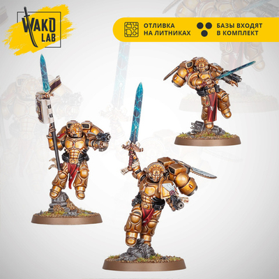 Blood Angels Sanguinary Guard