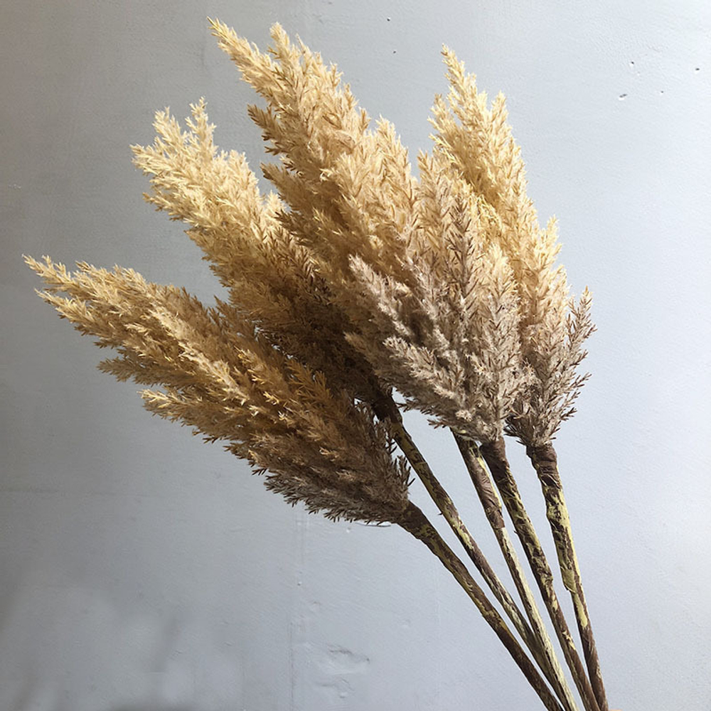 Пампасная трава 90 см, бежевая
