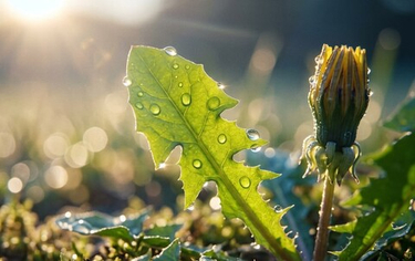 Подготовка к сезону простуд: как укрепить иммунитет перед межсезоньем апрель-май
