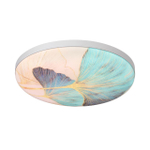 Настенно-потолочный светодиодный светильник Sonex FLOREN 7747/DL