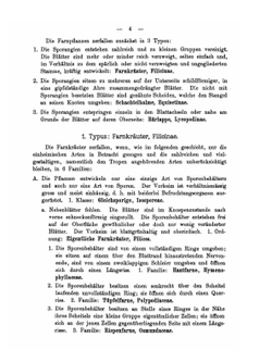 Flora von Deutschland, Österreich und der Schweiz. Erster Band | O.W. Thomé