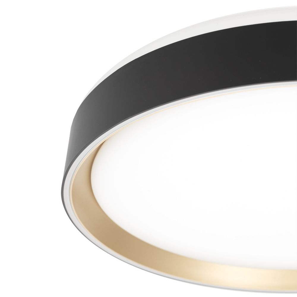 Citilux BOSS CL751351G LED RGB Светильник с пультом Чёрный с Золотом