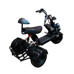 Электроскутер GT Citycoco X5 Trike