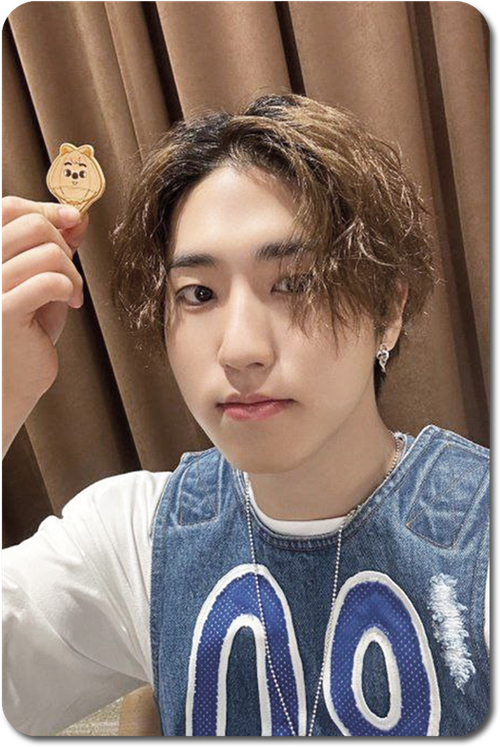 Карта / STRAY KIDS #0452