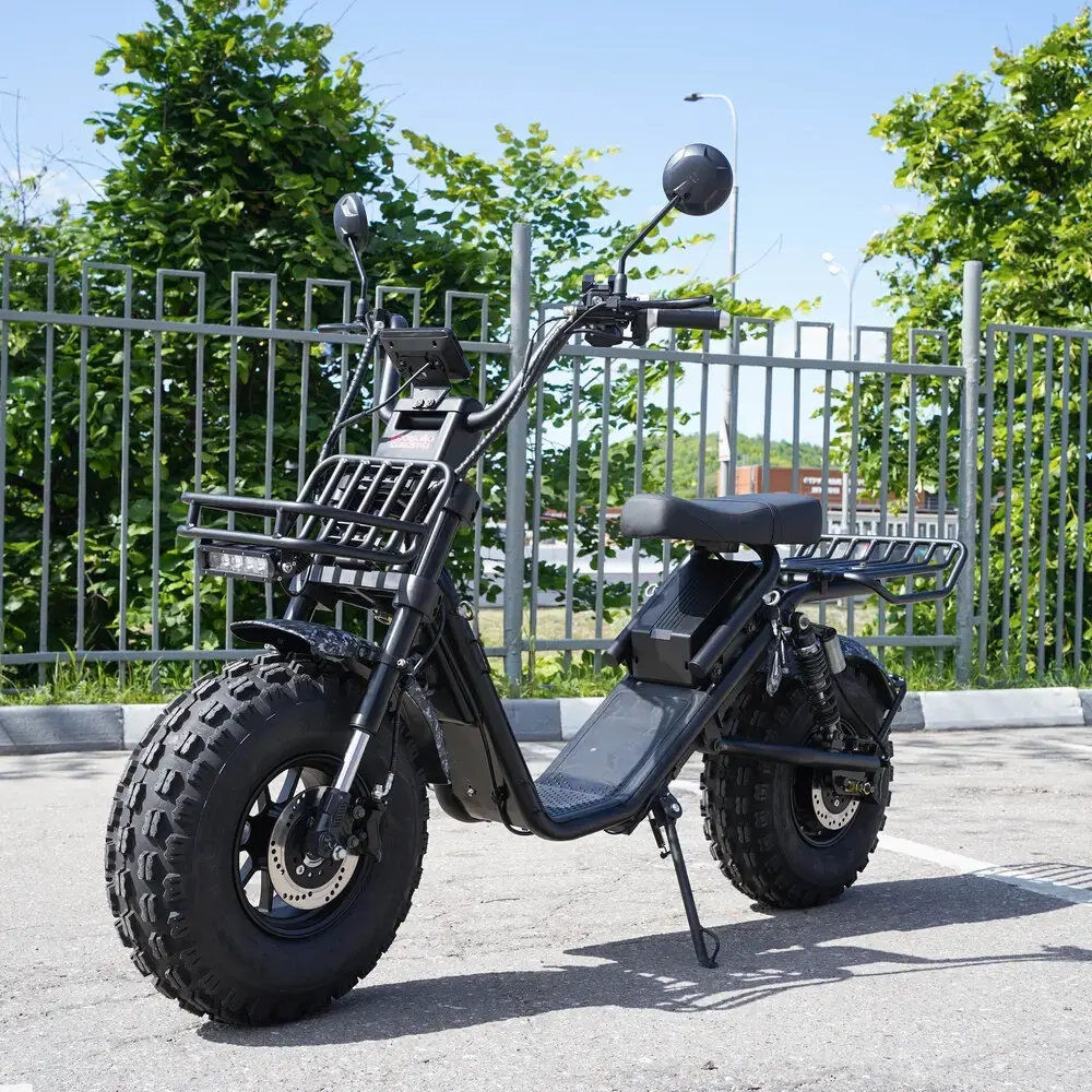 EcoMoto Lion Off-Road E1200W Back Edition
