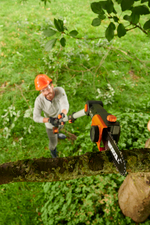 Цепная пила аккумуляторная телескопическая WORX WG349E.9