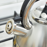 Чайник 3л нерж со свистком Z-4500