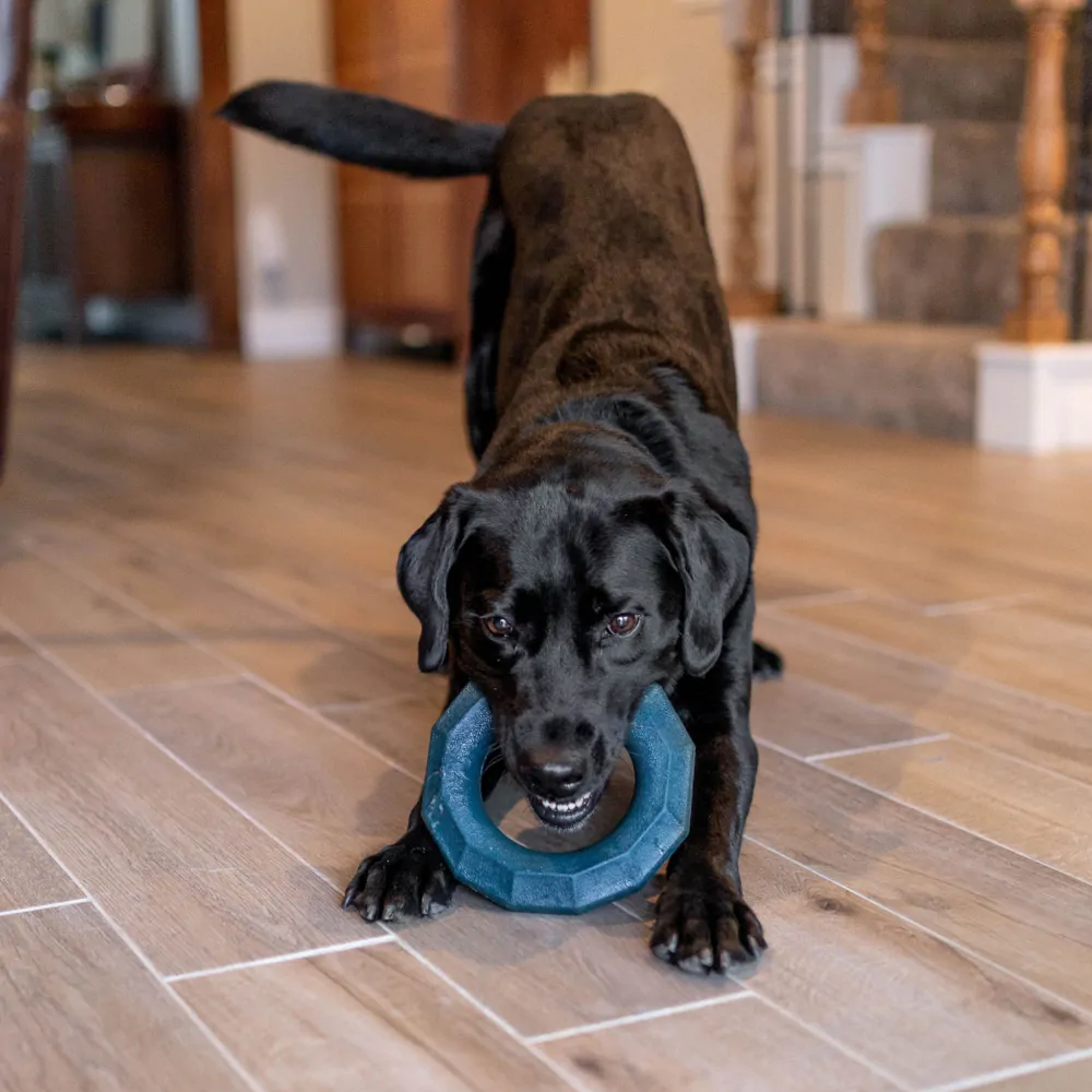 Игрушка ZippyTuff+ Кольцо 18 см ZippyPaws