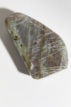 Срез Лабрадора M