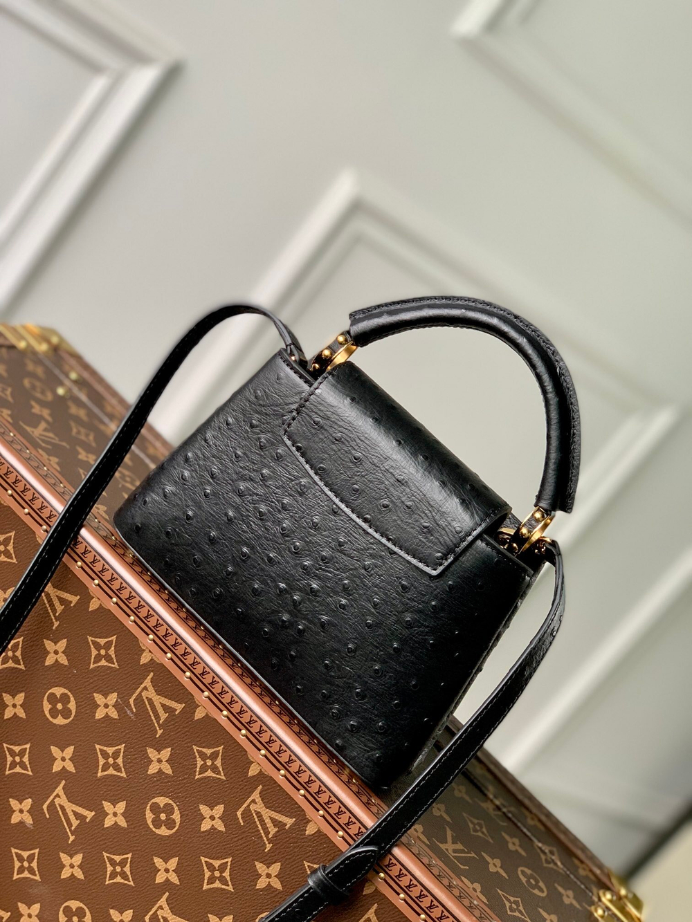 Louis Vuitton Capucines Mini
