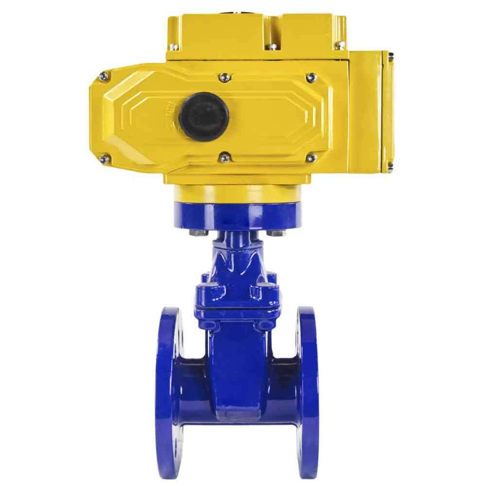 Wedge gate valve 30c939r blue Elephant-GGG50-EPDM-F4-BLUE PSI232 class 150 T=230-248°F flange connection, with rubber lined wedge EPDM, electric actuator Elephant MT-110/220, 110/220V