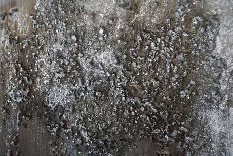 Картина 30х60см Tomas Stern 85039