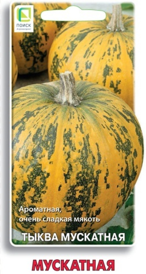 Тыква Мускатная 10шт Поиск