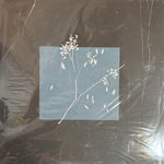 Виниловая пластинка Bird Bone ‎– Лейтмотив LP