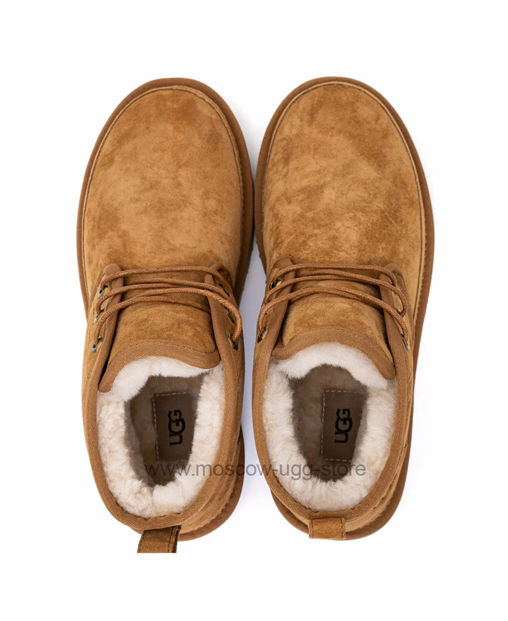 MENS NEUMEL - chestnut