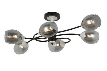 Люстра Freya FR5227PL-06B