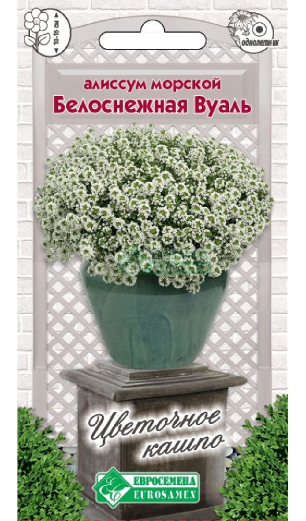 Алиссум морской Белоснежная вуаль