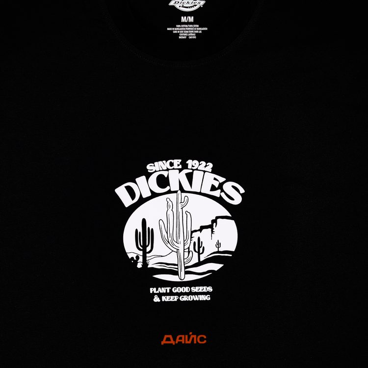 Футболка мужская Dickies Timberville Tee артикул:DK0A4YR3BLK1 - купить в магазине Дайс