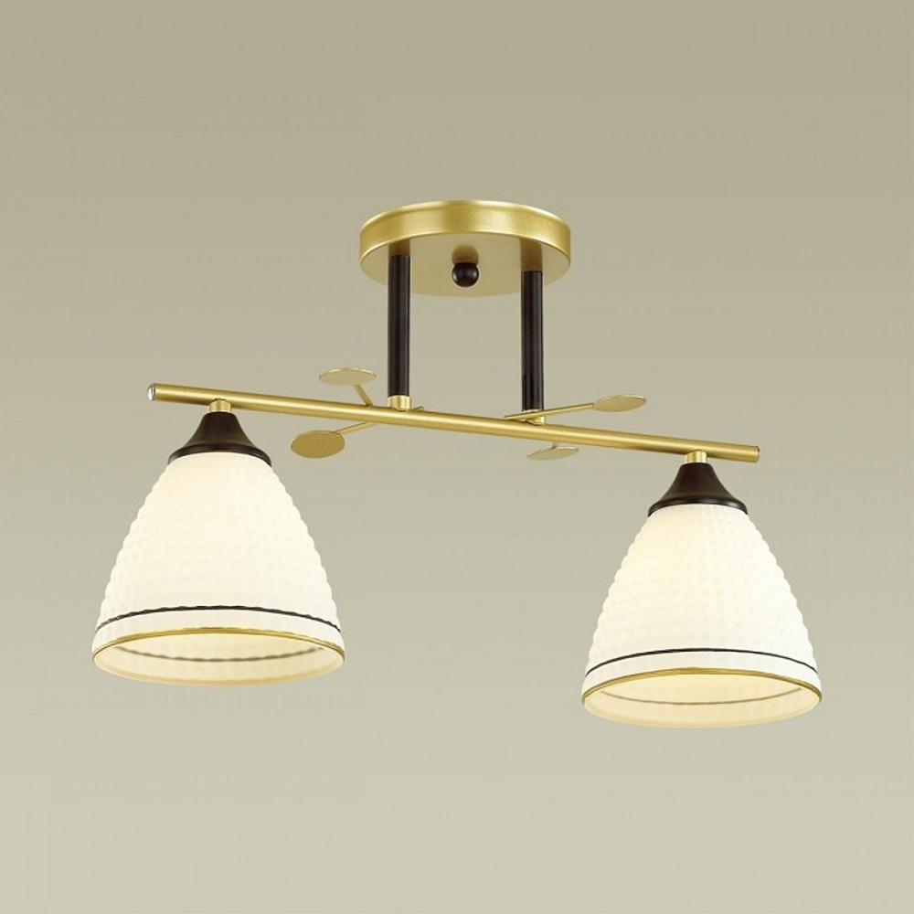 Люстра на штанге Lumion 4544/2C