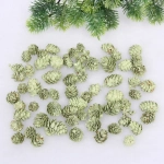 Композиция для декора «Лесное удовольствие» 11*11*14 см (150 гр), зелёный