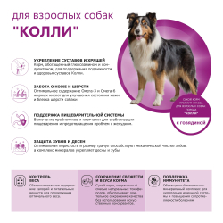 Корм сухой для взрослых собак породы Колли, премиум полнорационный комплекс, с говядиной, 2,5 кг, QUATTRO