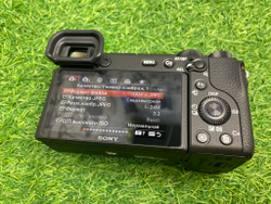 Sony A6600 (4.200 кадров)