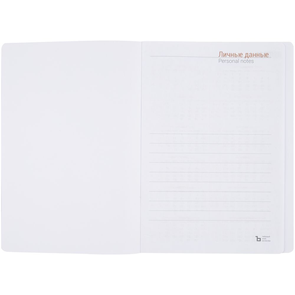 Ежедневник Flex Shall, датированный, синий