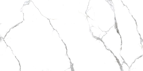 Керамогранит Для стен и пола PRIMAVERA/IND Acothly PR234 polished 600х1200х9 1,44