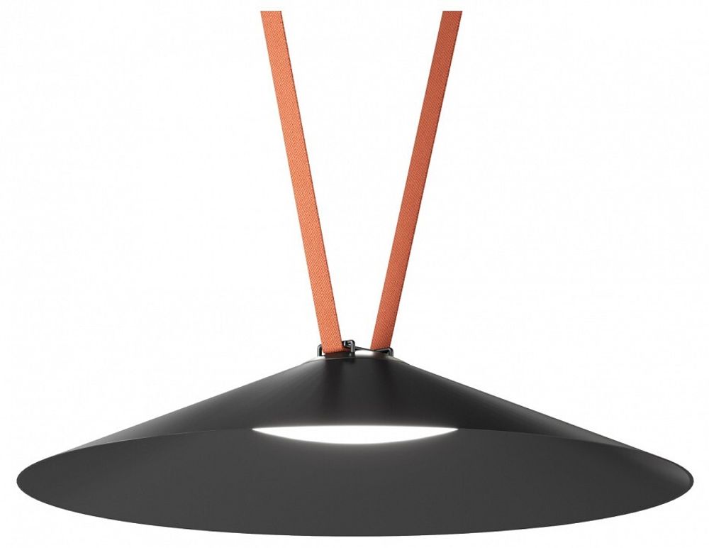 Накладной светильник Denkirs Belty Flow DK5568-BK