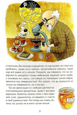 Грибное царство