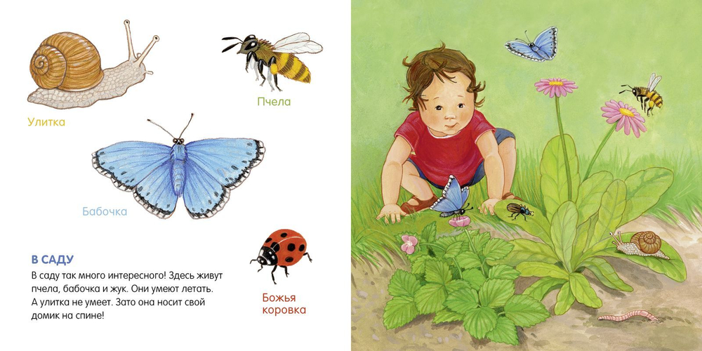 Книжки-картонки. Я учусь говорить. Животные