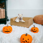 Лежанка домик для кошек и собак мелких и средних пород Вальди 78х58 см из массива сосны, прочный лежак для кошек и собак