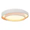 SLE6009-502-01 Светильник потолочный Белый/Белый LED 1*50W 3000K/4000K/6000K CROSBY