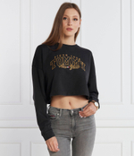 Худи LUXE VARSITY CREW Tommy Jeans - черный(DW0DW16411)