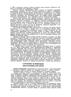 Справочник по пчеловодству | Н.П. Буренин; Г.Н. Котова