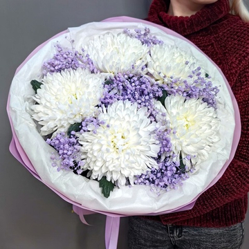 Букет из 5 одноголовых хризантем сорта "Антонов" с гипсофилой