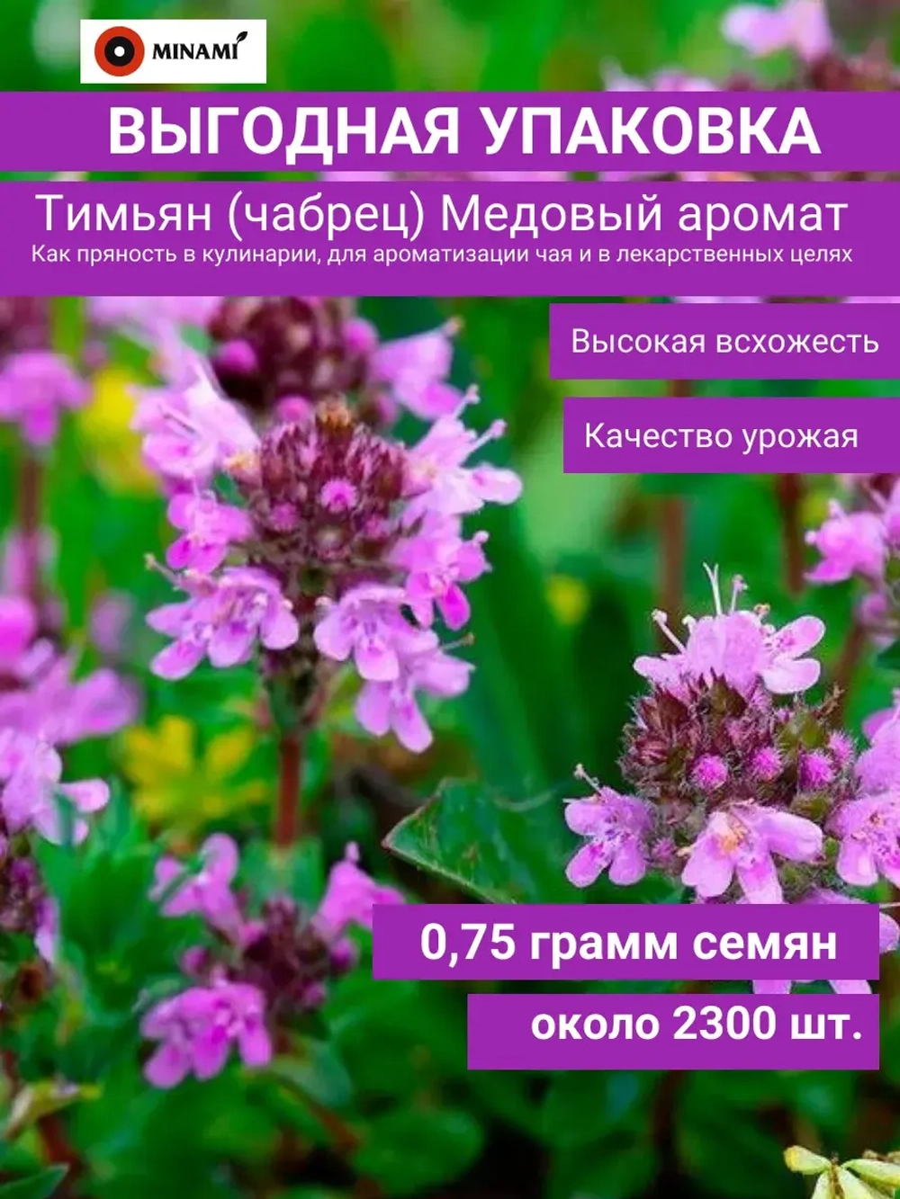 Тимьян чабрец Медовый аромат